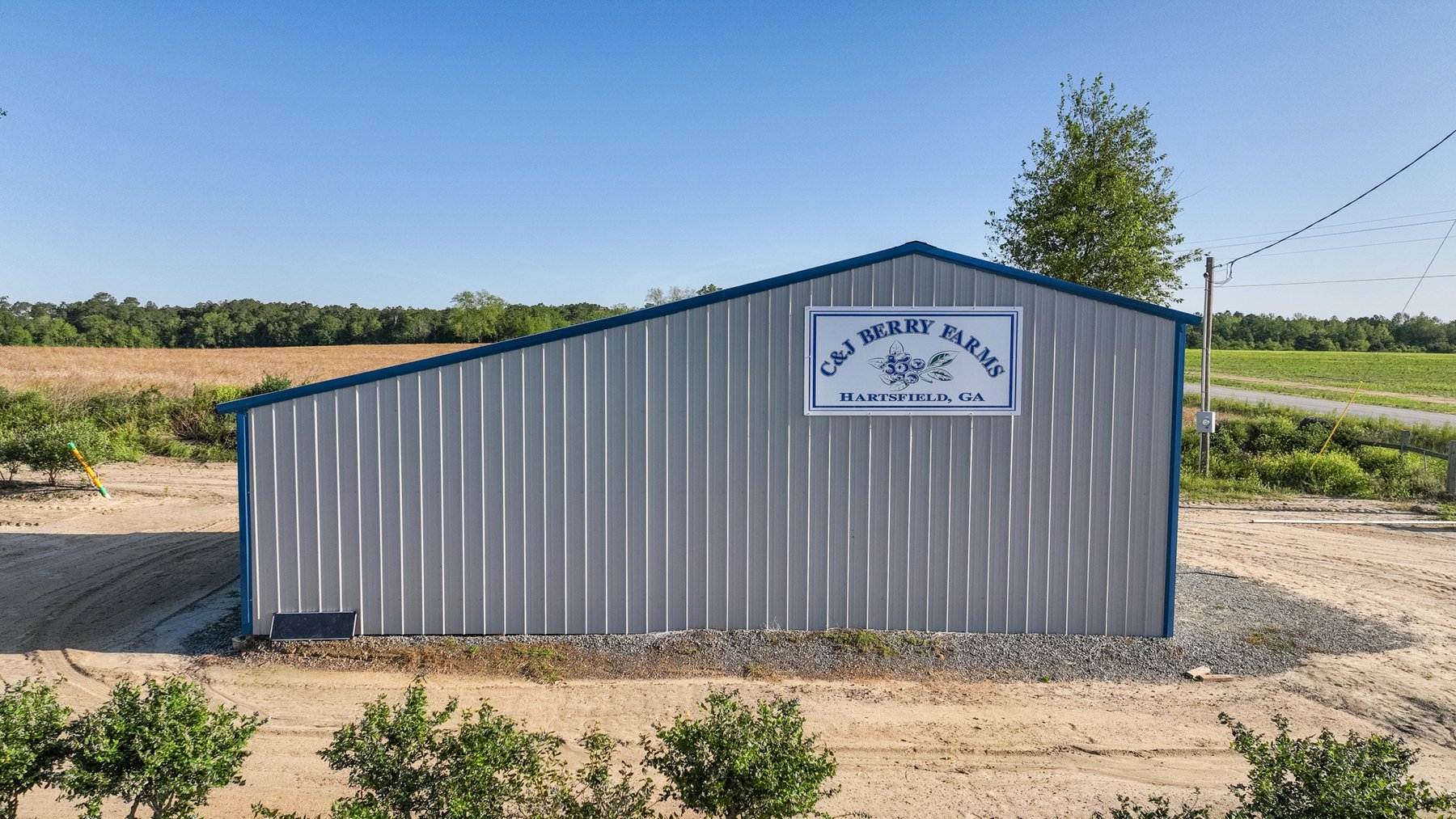 Image for Commercial Blueberry Farm on 18.28+/- Acres - Colquitt County, Georgia