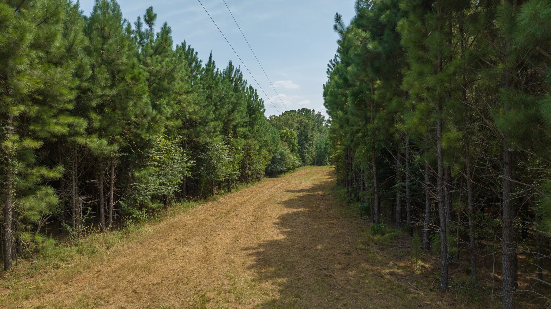 Image for 194+/- Acres - Holloway Place - Macon, Schley, & Sumter Counties, GA