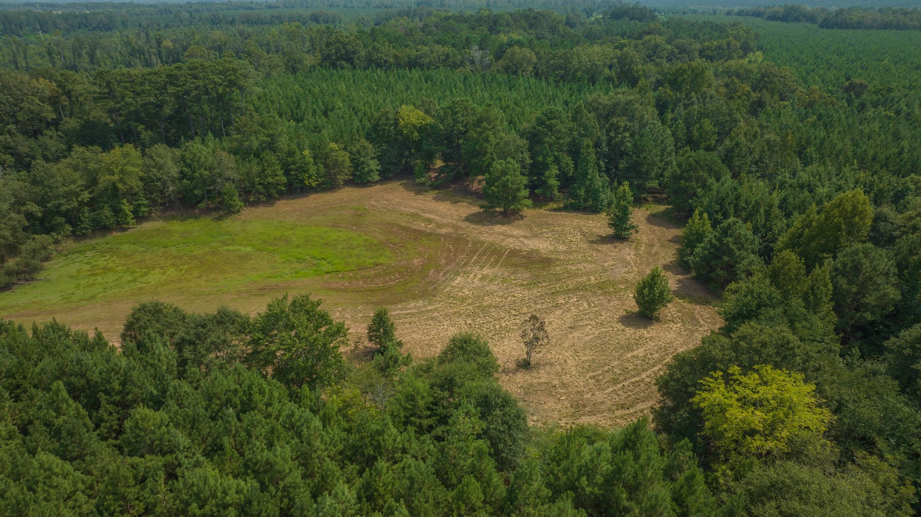 Image for 194+/- Acres - Holloway Place - Macon, Schley, & Sumter Counties, GA
