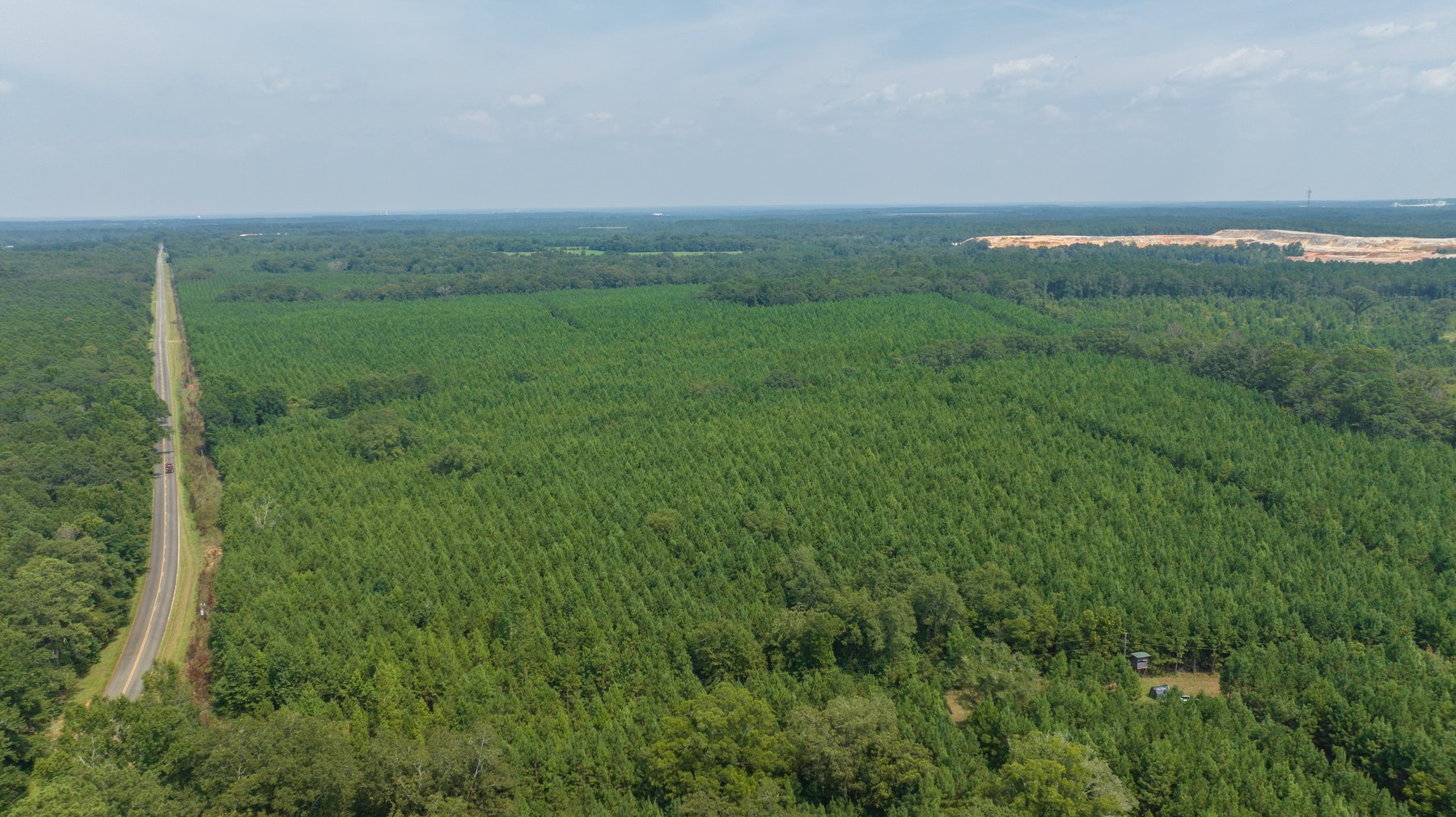 Image for 194+/- Acres - Holloway Place - Macon, Schley, & Sumter Counties, GA