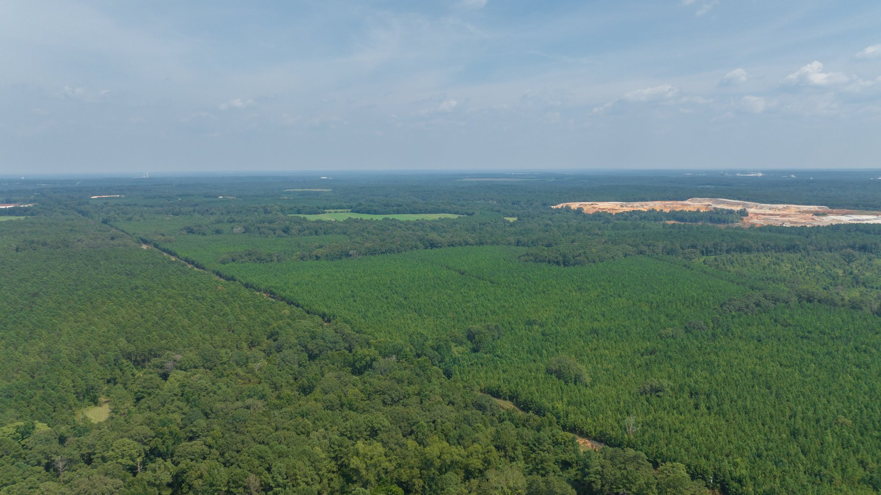 Image for 194+/- Acres - Holloway Place - Macon, Schley, & Sumter Counties, GA