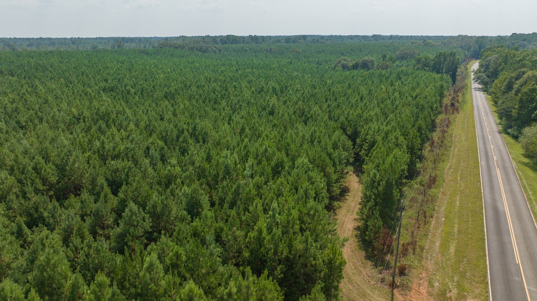 Image for 194+/- Acres - Holloway Place - Macon, Schley, & Sumter Counties, GA