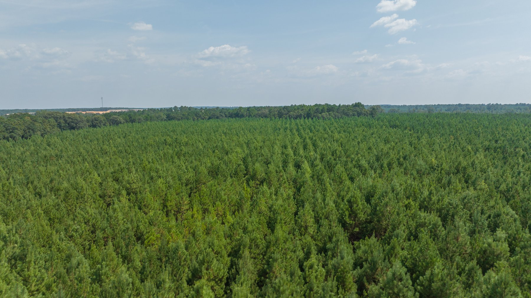 Image for 194+/- Acres - Holloway Place - Macon, Schley, & Sumter Counties, GA