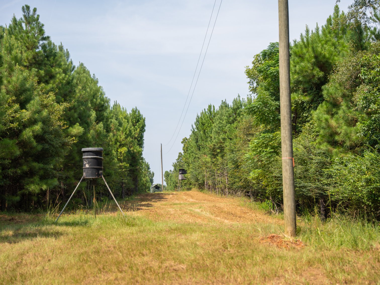 Image for 194+/- Acres - Holloway Place - Macon, Schley, & Sumter Counties, GA