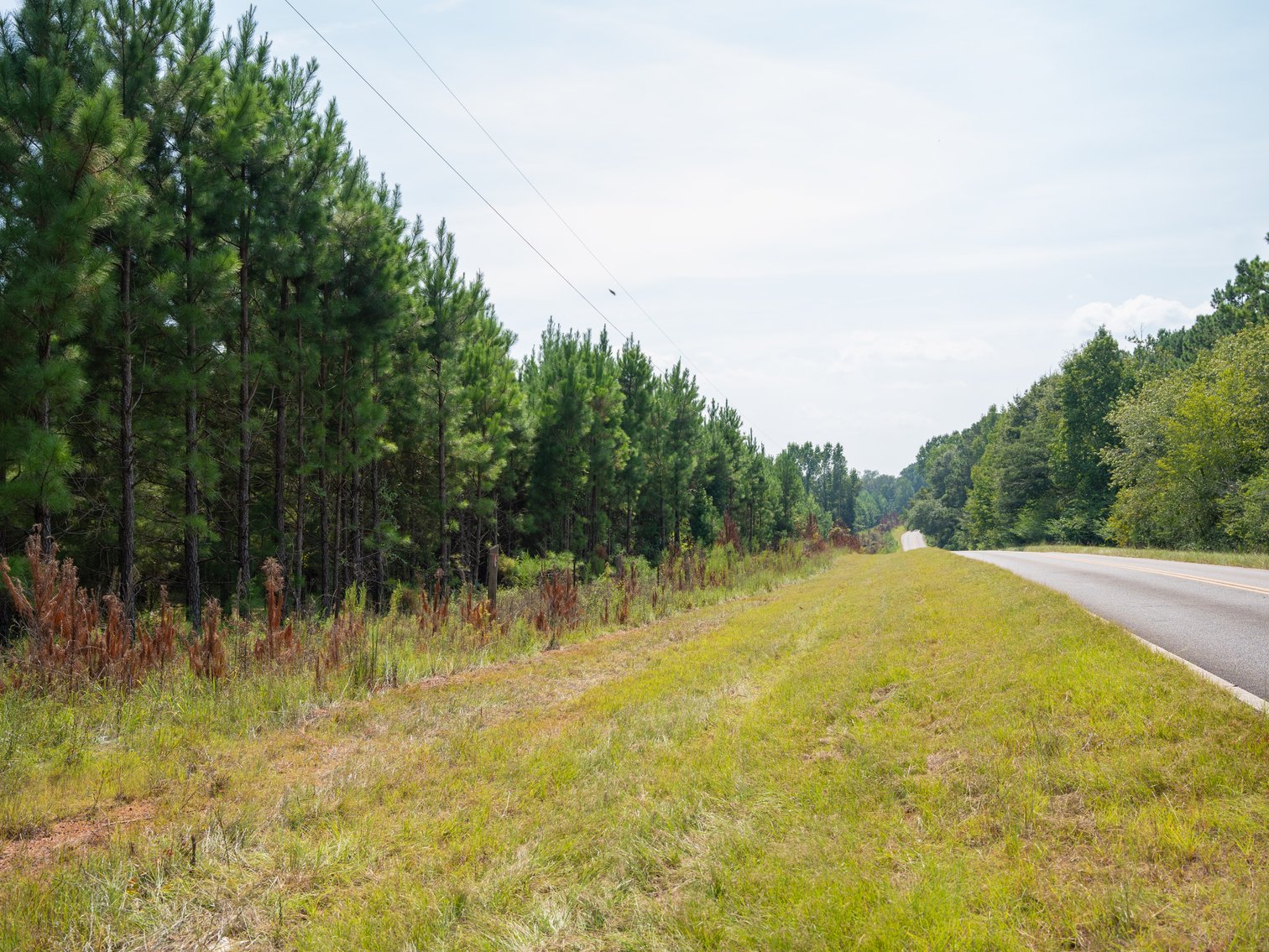 Image for 194+/- Acres - Holloway Place - Macon, Schley, & Sumter Counties, GA