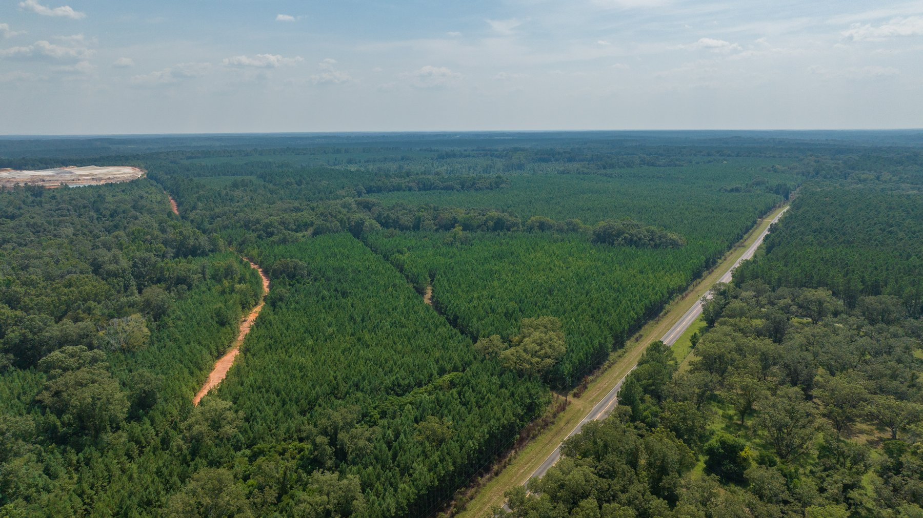 Image for 194+/- Acres - Holloway Place - Macon, Schley, & Sumter Counties, GA