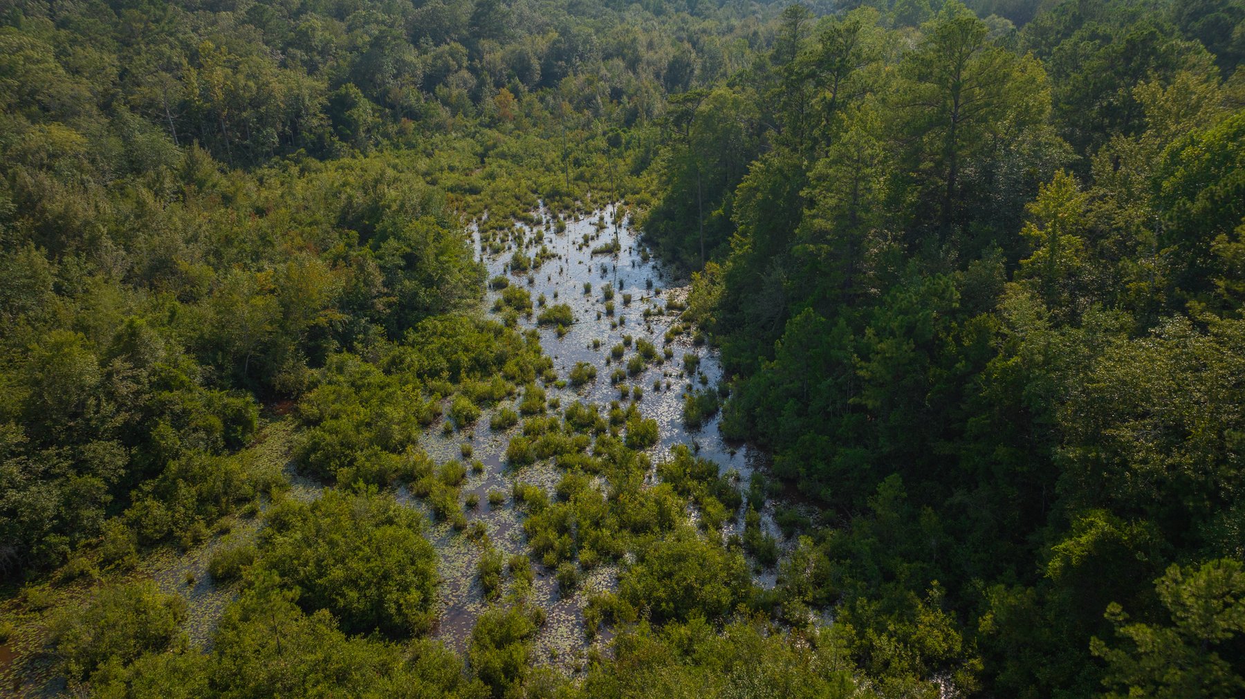 Image for 136+/- Acres - Shipp Place - Macon County, GA