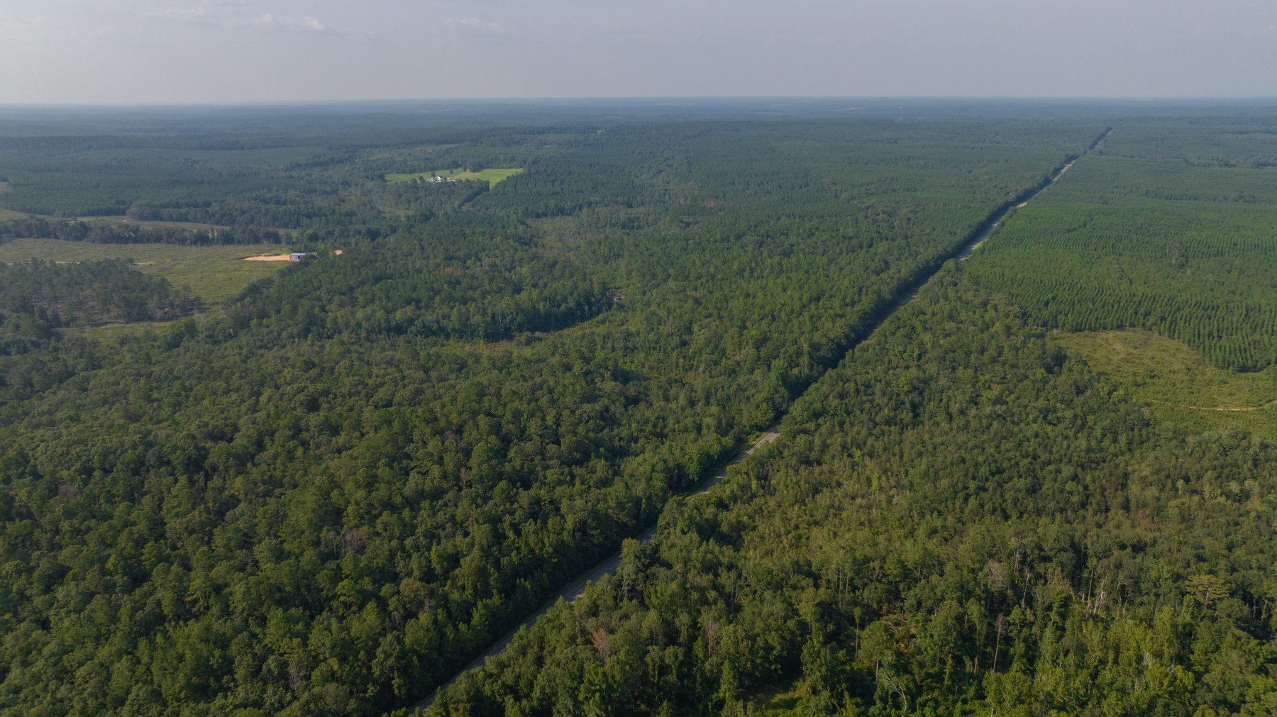 Image for 136+/- Acres - Shipp Place - Macon County, GA