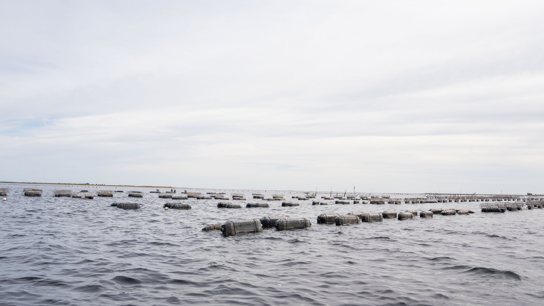 Image for 5 Aquaculture Oyster Leases in Oyster Bay, Florida