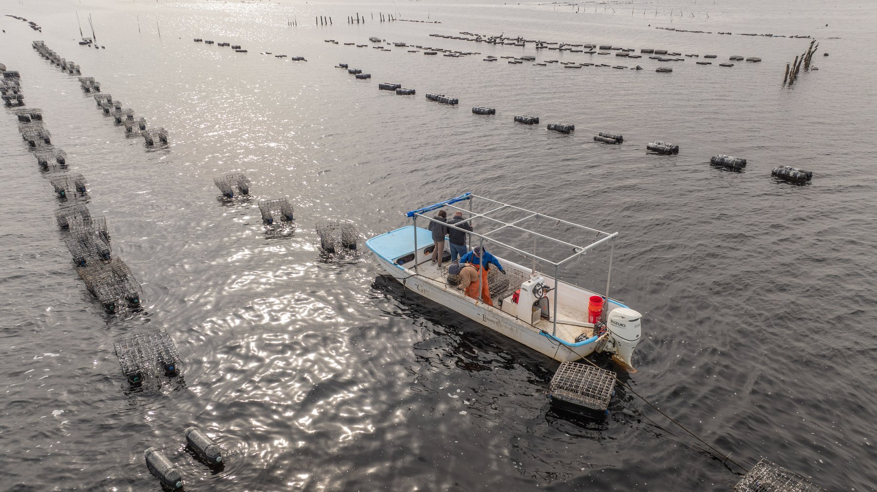 Image for 5 Aquaculture Oyster Leases in Oyster Bay, Florida