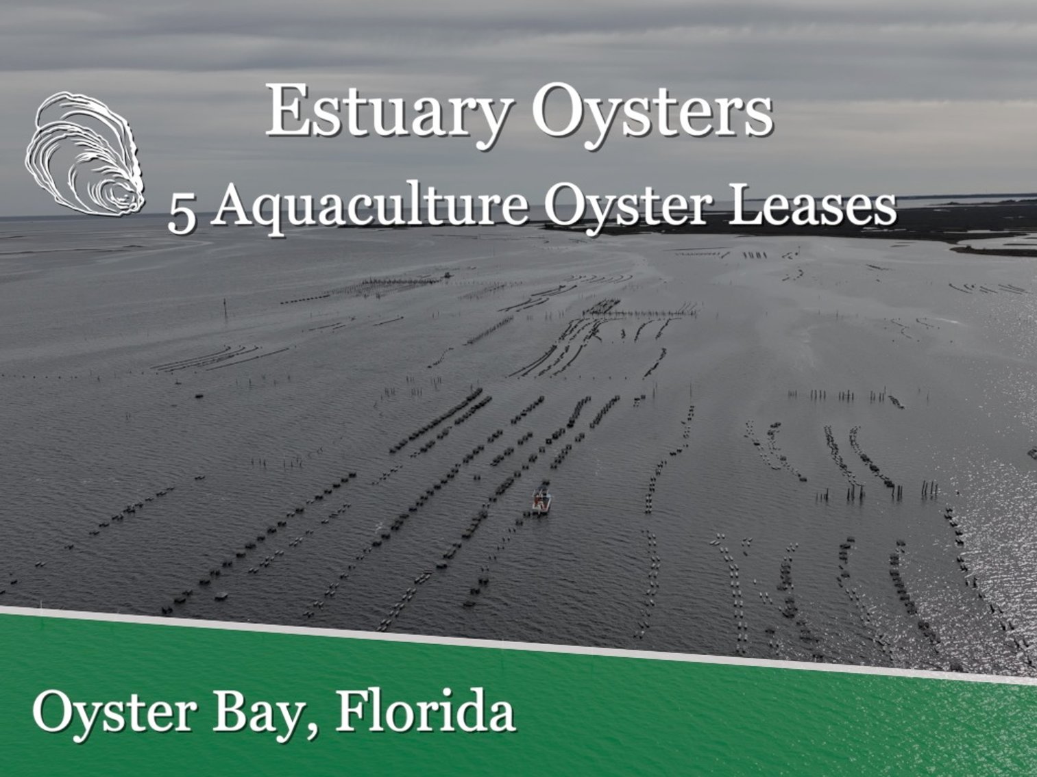 Image for Estuary Oysters - 5 Water Leases, Growing and Processing Equipment, Marina and Cold Storage