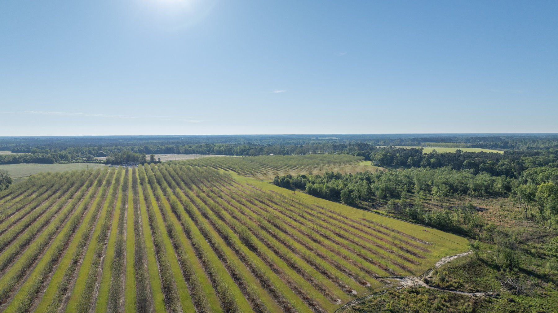 Image for 488+/- Acres - The Gaines Tract - Weybrenee Farms
