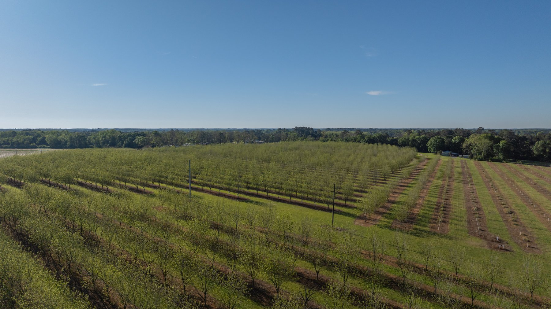 Image for 488+/- Acres - The Gaines Tract - Weybrenee Farms