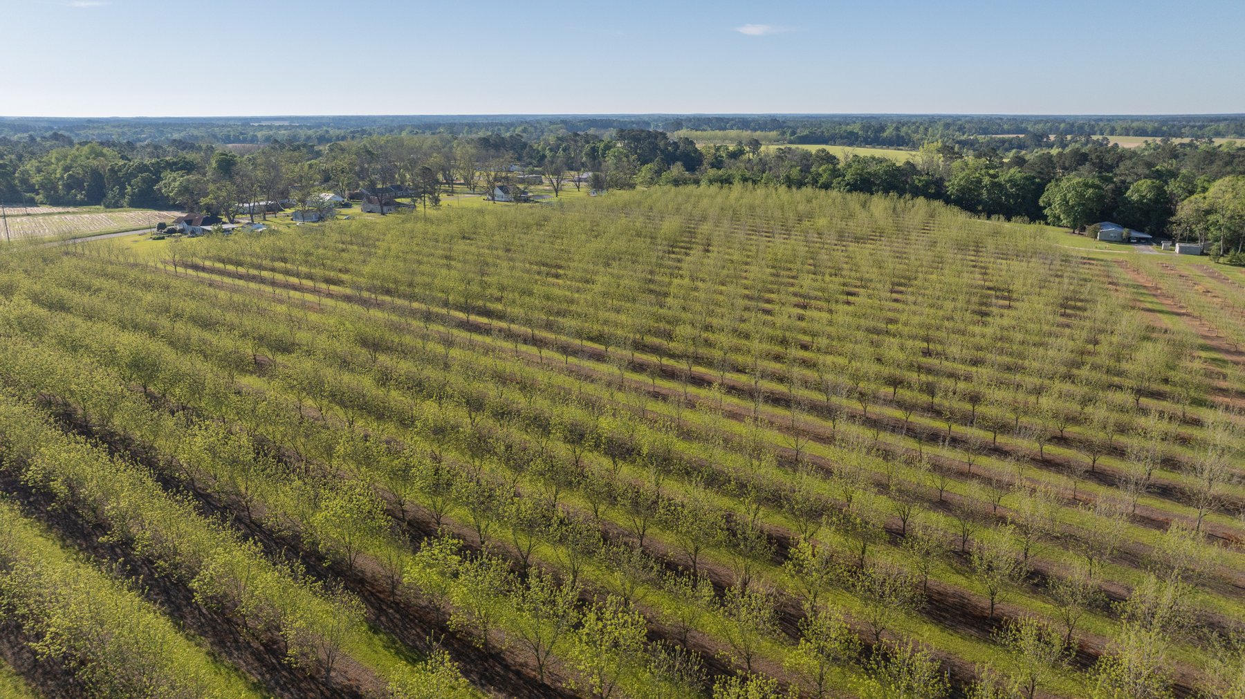 Image for 488+/- Acres - The Gaines Tract - Weybrenee Farms