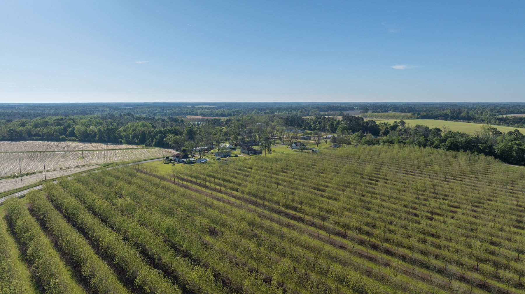 Image for 488+/- Acres - The Gaines Tract - Weybrenee Farms
