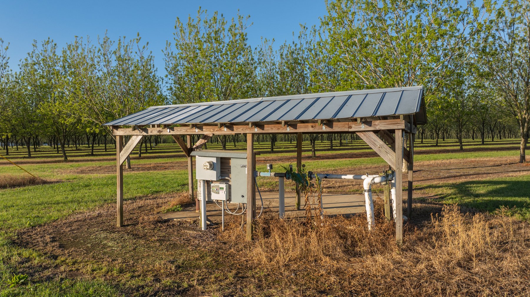 Image for 488+/- Acres - The Gaines Tract - Weybrenee Farms