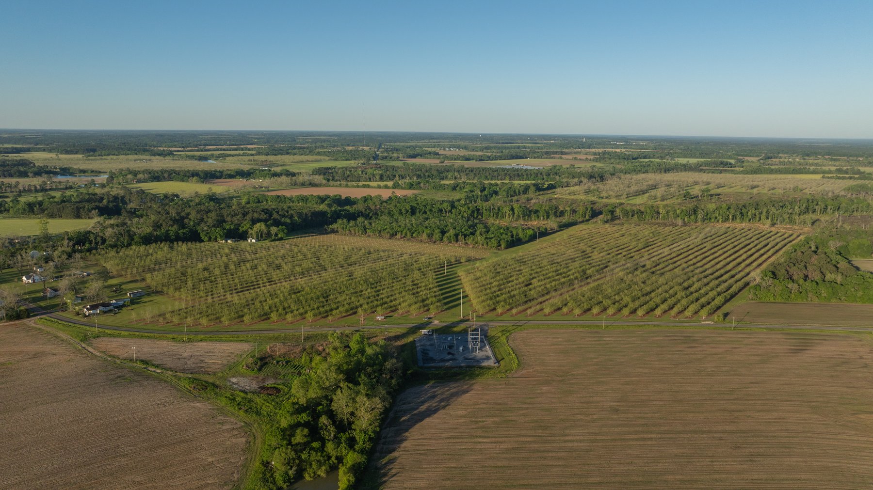 Image for 488+/- Acres - The Gaines Tract - Weybrenee Farms