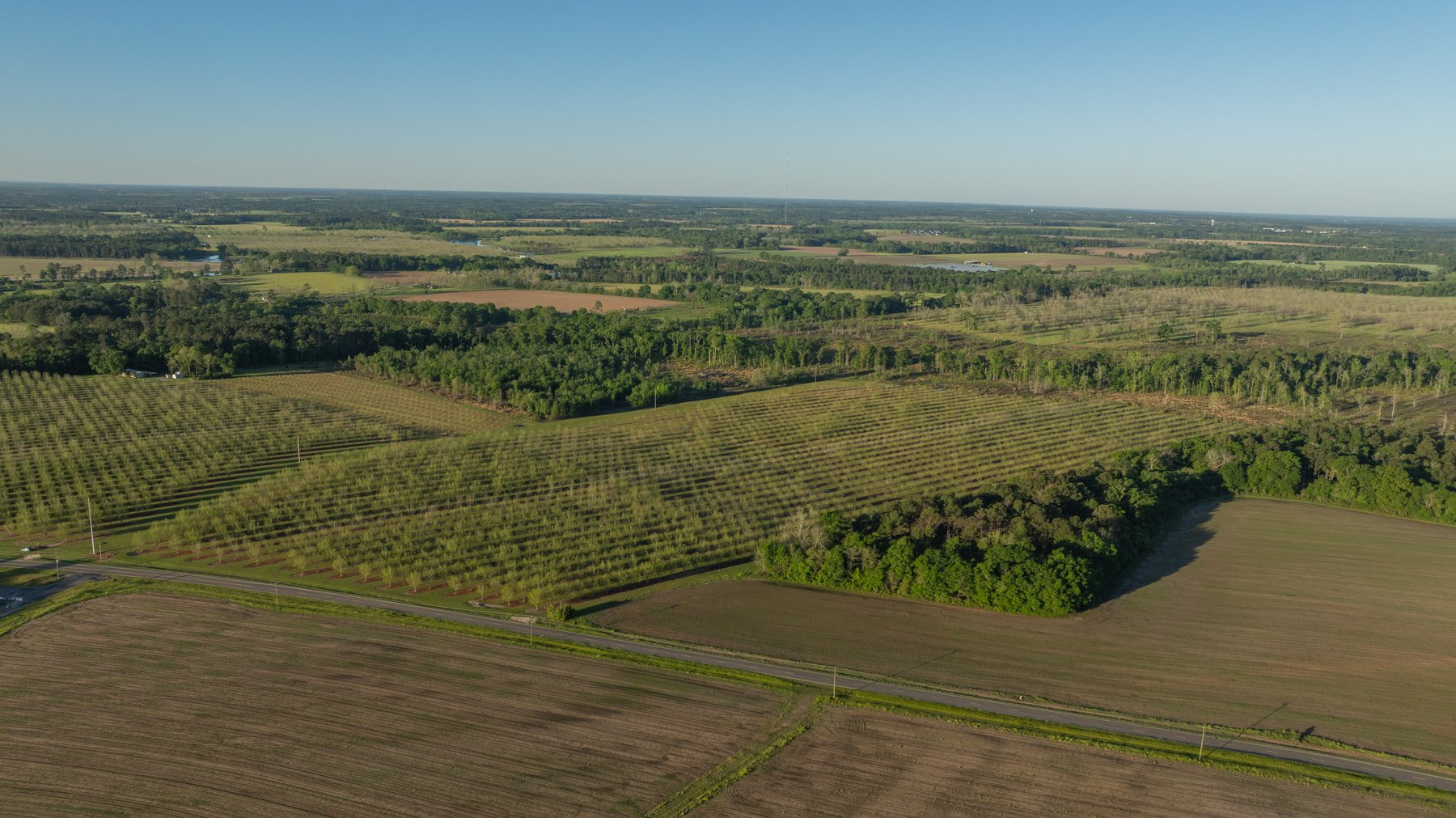 Image for 488+/- Acres - The Gaines Tract - Weybrenee Farms