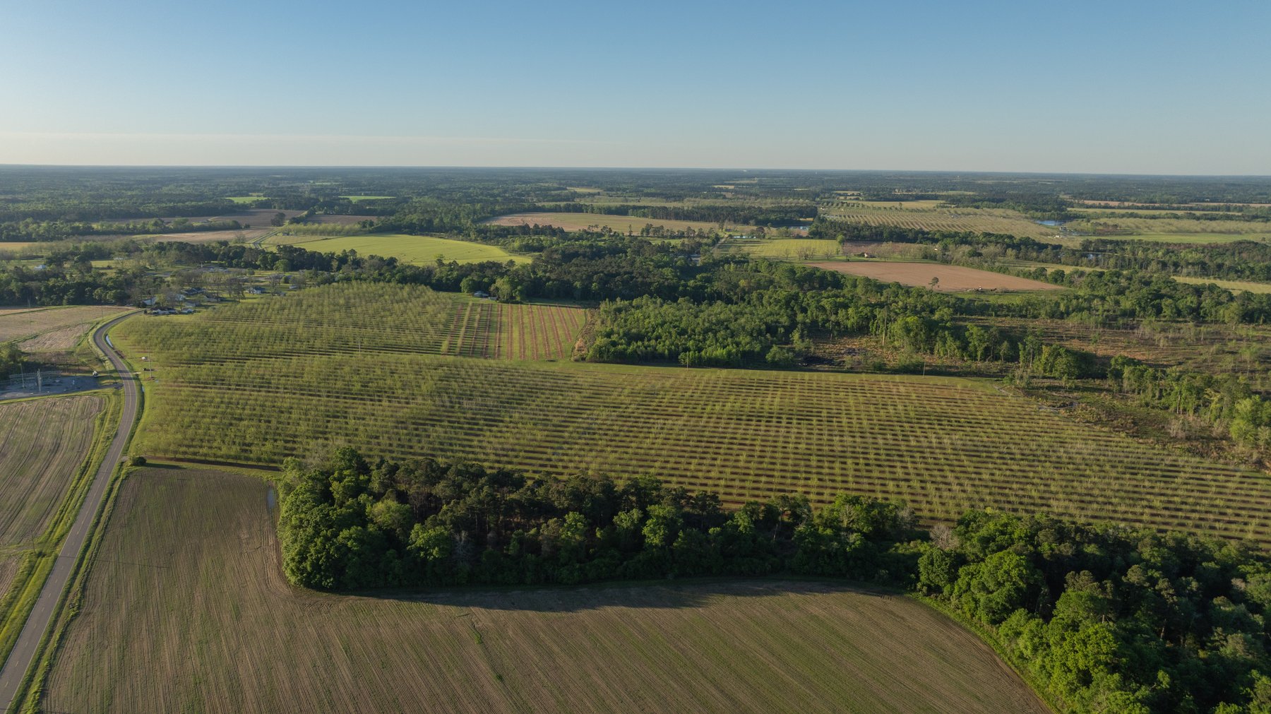 Image for 488+/- Acres - The Gaines Tract - Weybrenee Farms