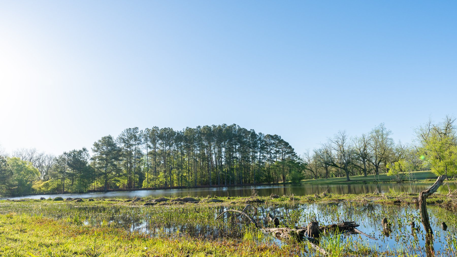 Image for 488+/- Acres - The Gaines Tract - Weybrenee Farms