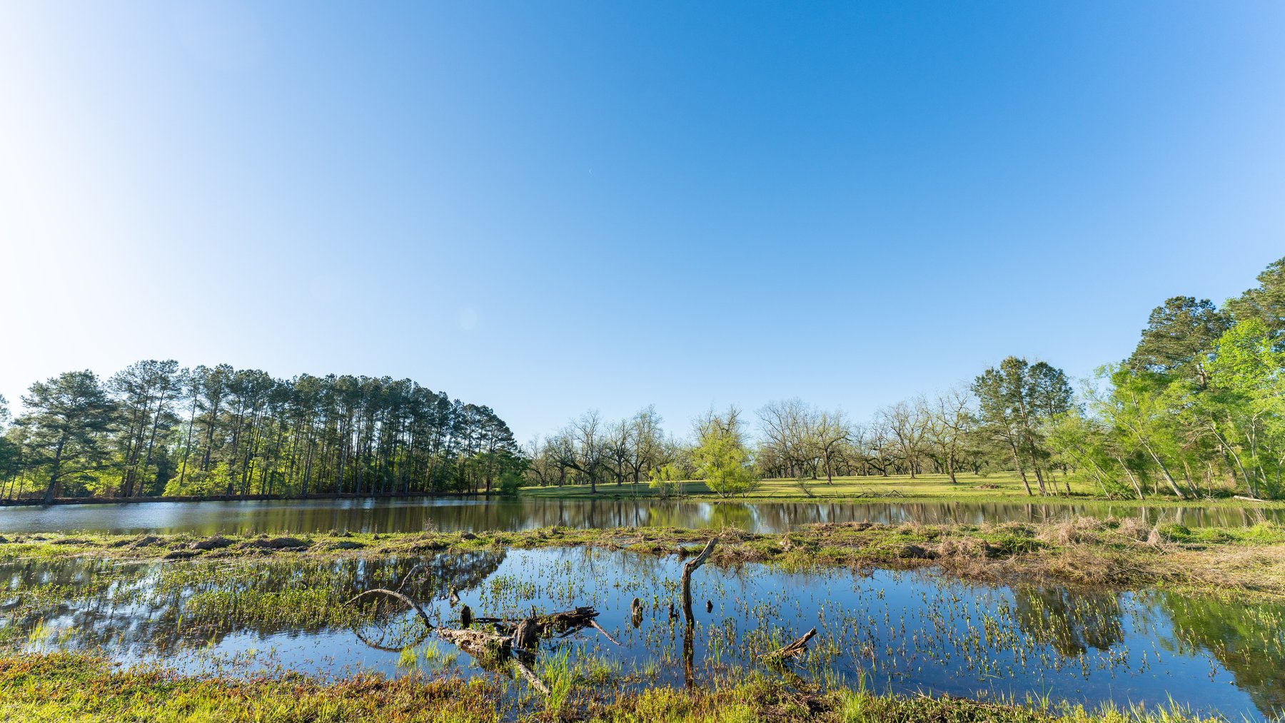 Image for 488+/- Acres - The Gaines Tract - Weybrenee Farms