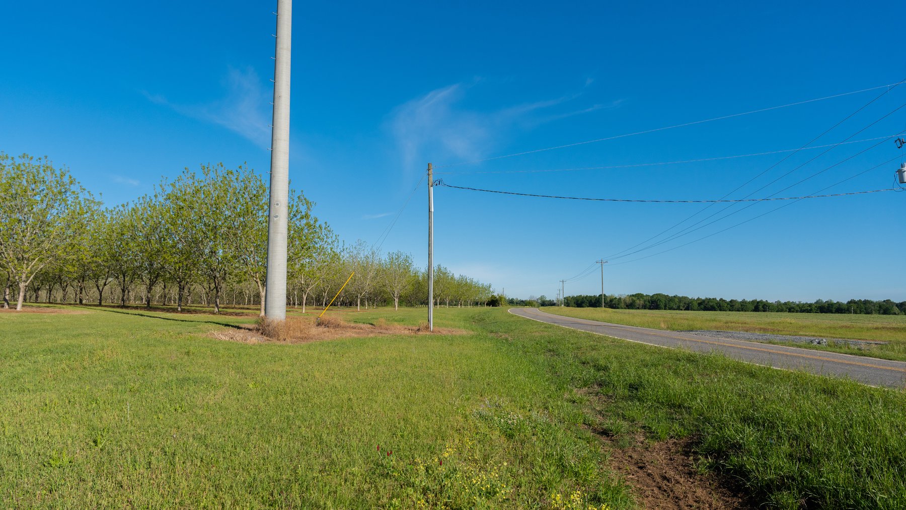 Image for 488+/- Acres - The Gaines Tract - Weybrenee Farms