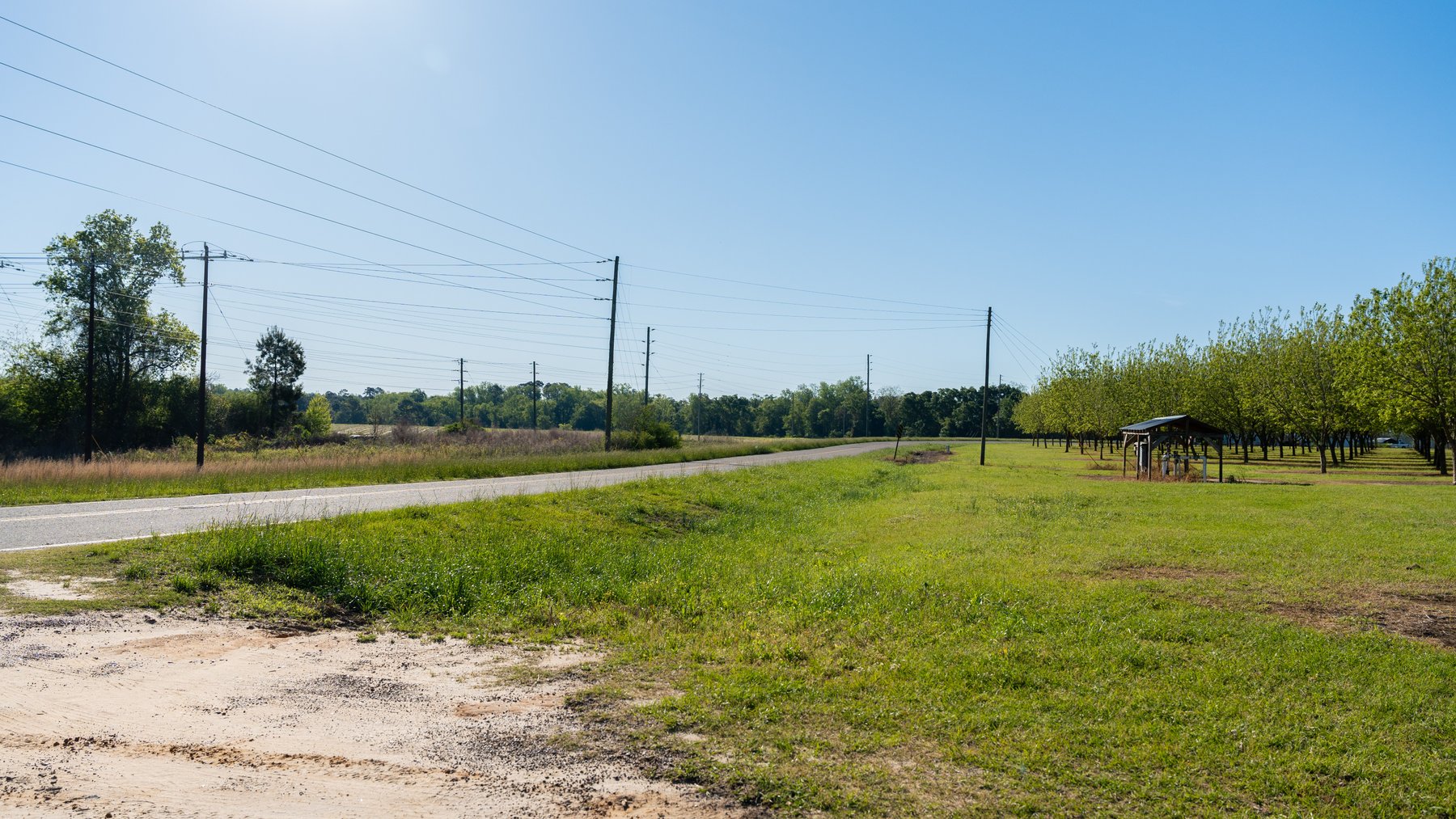 Image for 488+/- Acres - The Gaines Tract - Weybrenee Farms