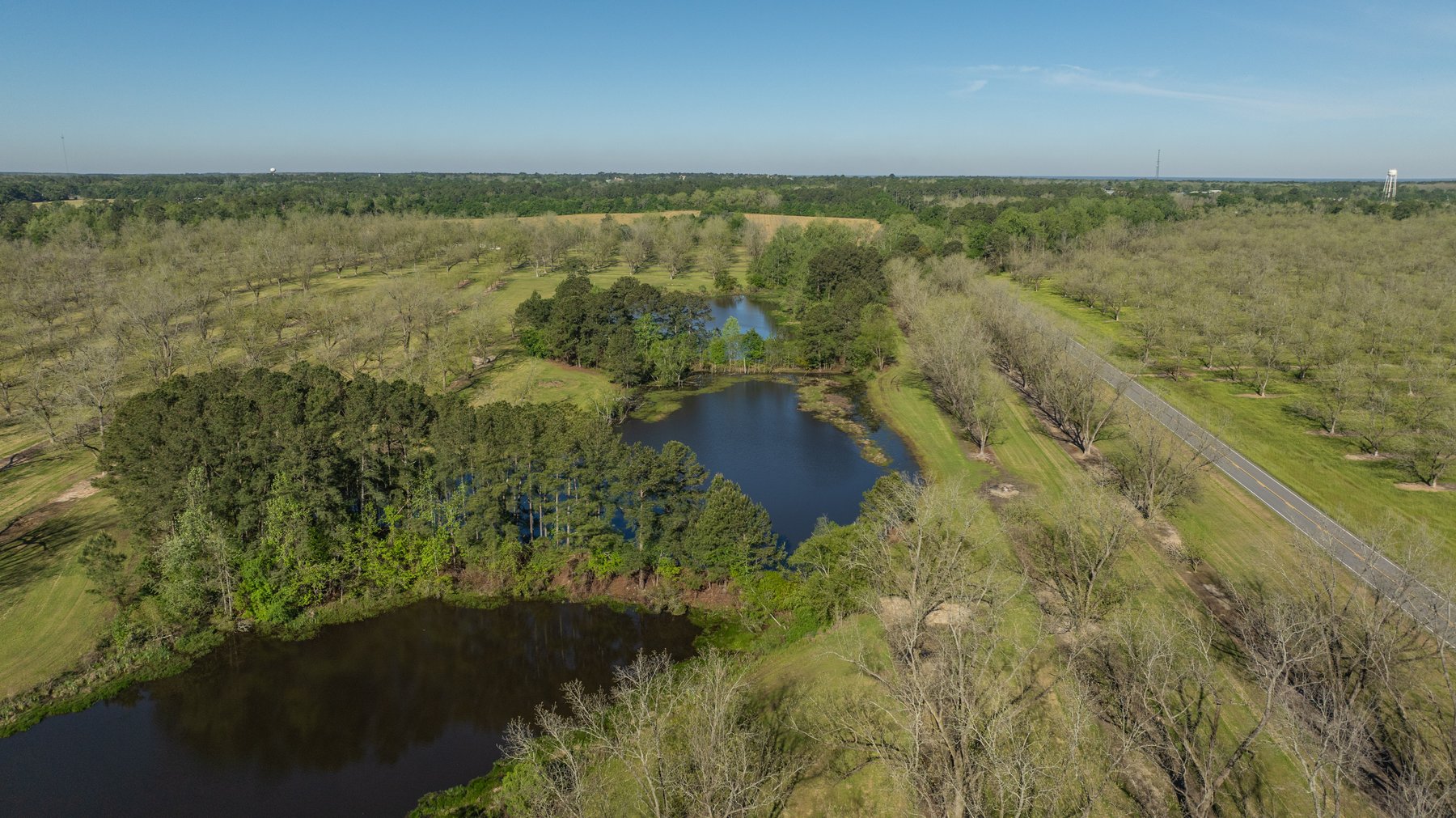 Image for 103+/- Acres - The Hand Tract - Weybrenee Farms