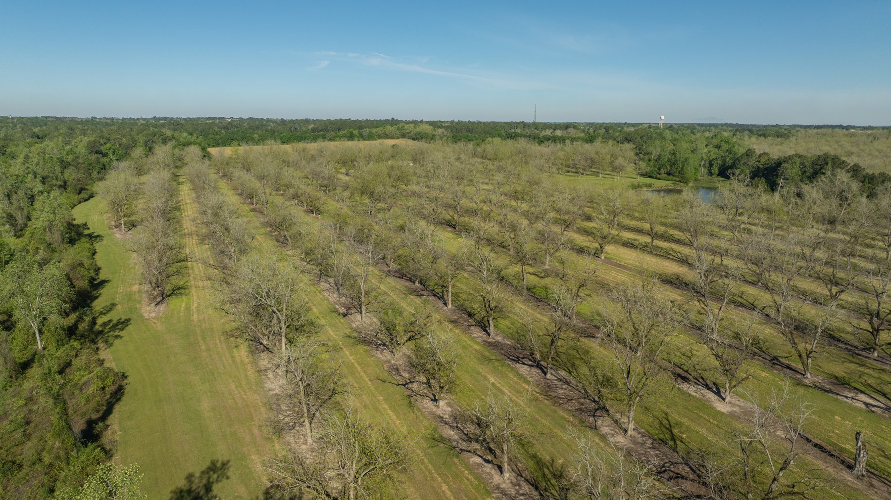 Image for 103+/- Acres - The Hand Tract - Weybrenee Farms