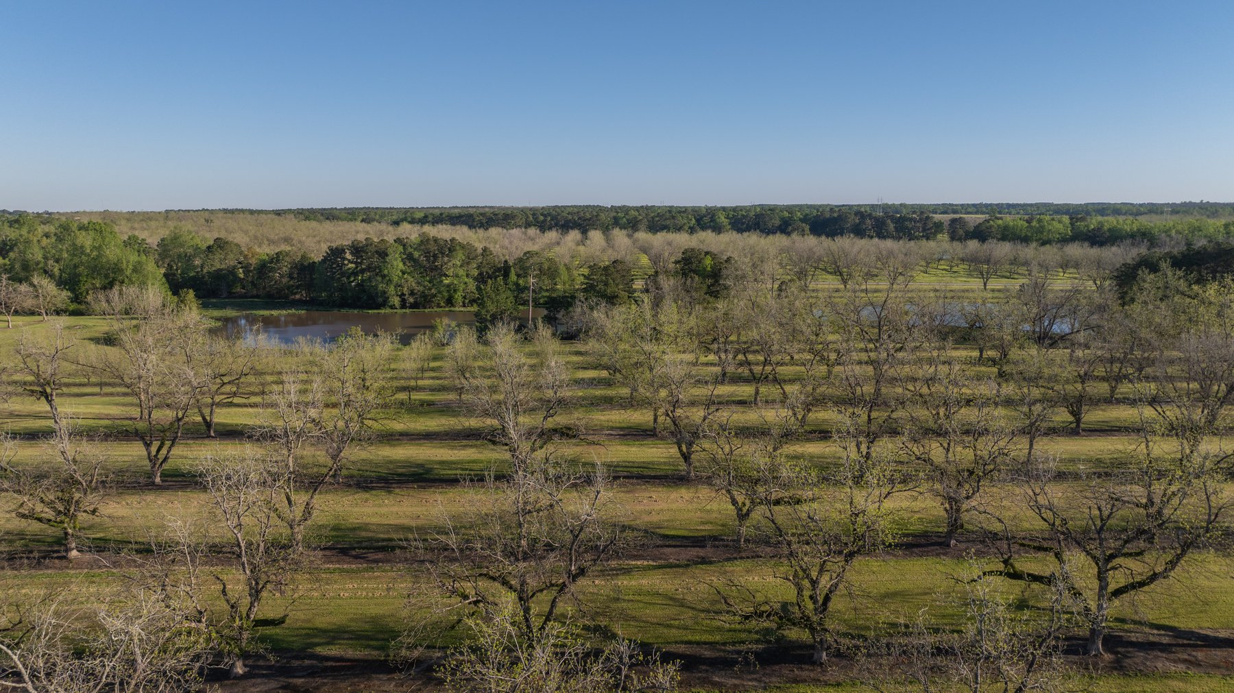 Image for 103+/- Acres - The Hand Tract - Weybrenee Farms