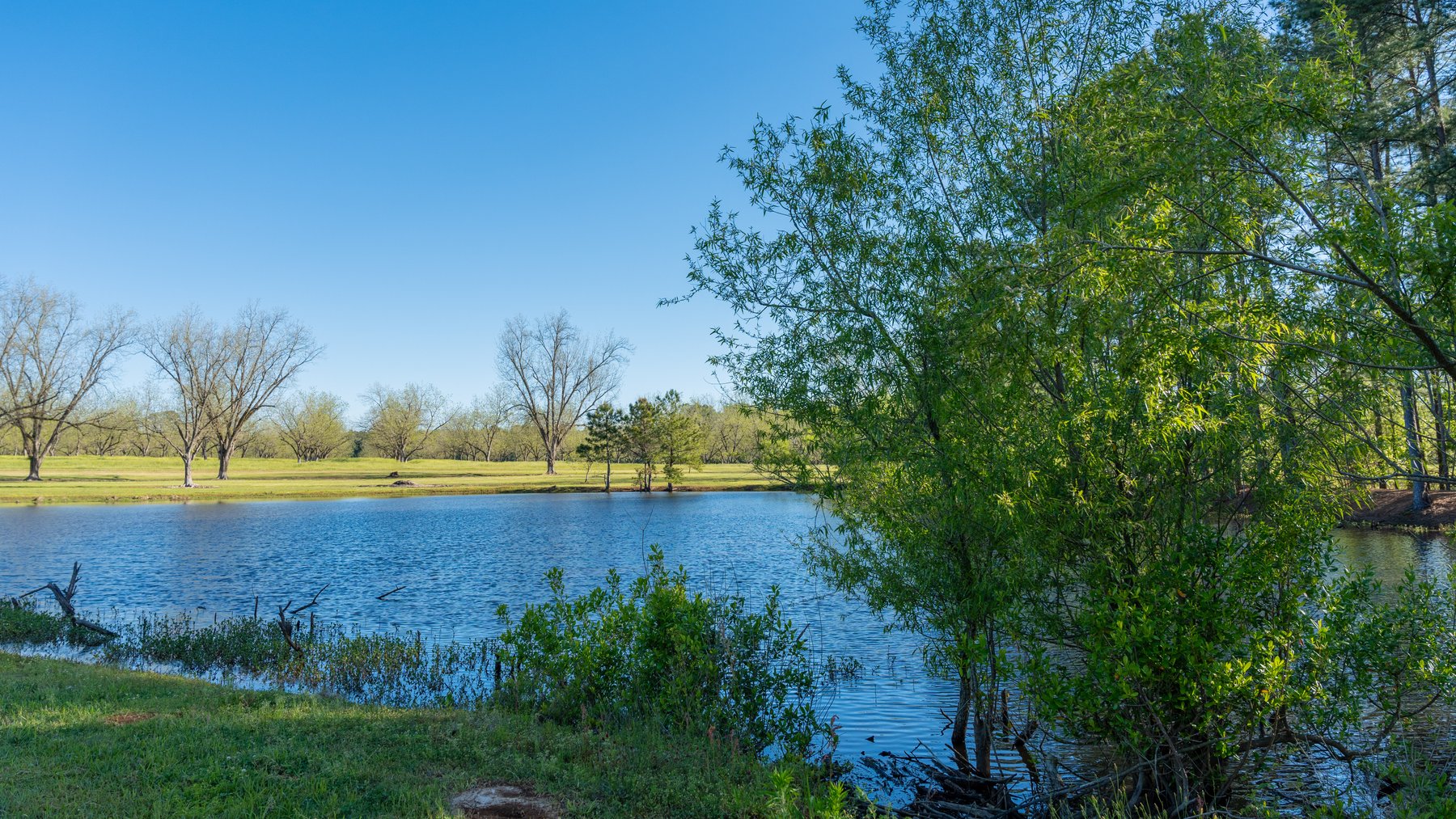 Image for 103+/- Acres - The Hand Tract - Weybrenee Farms