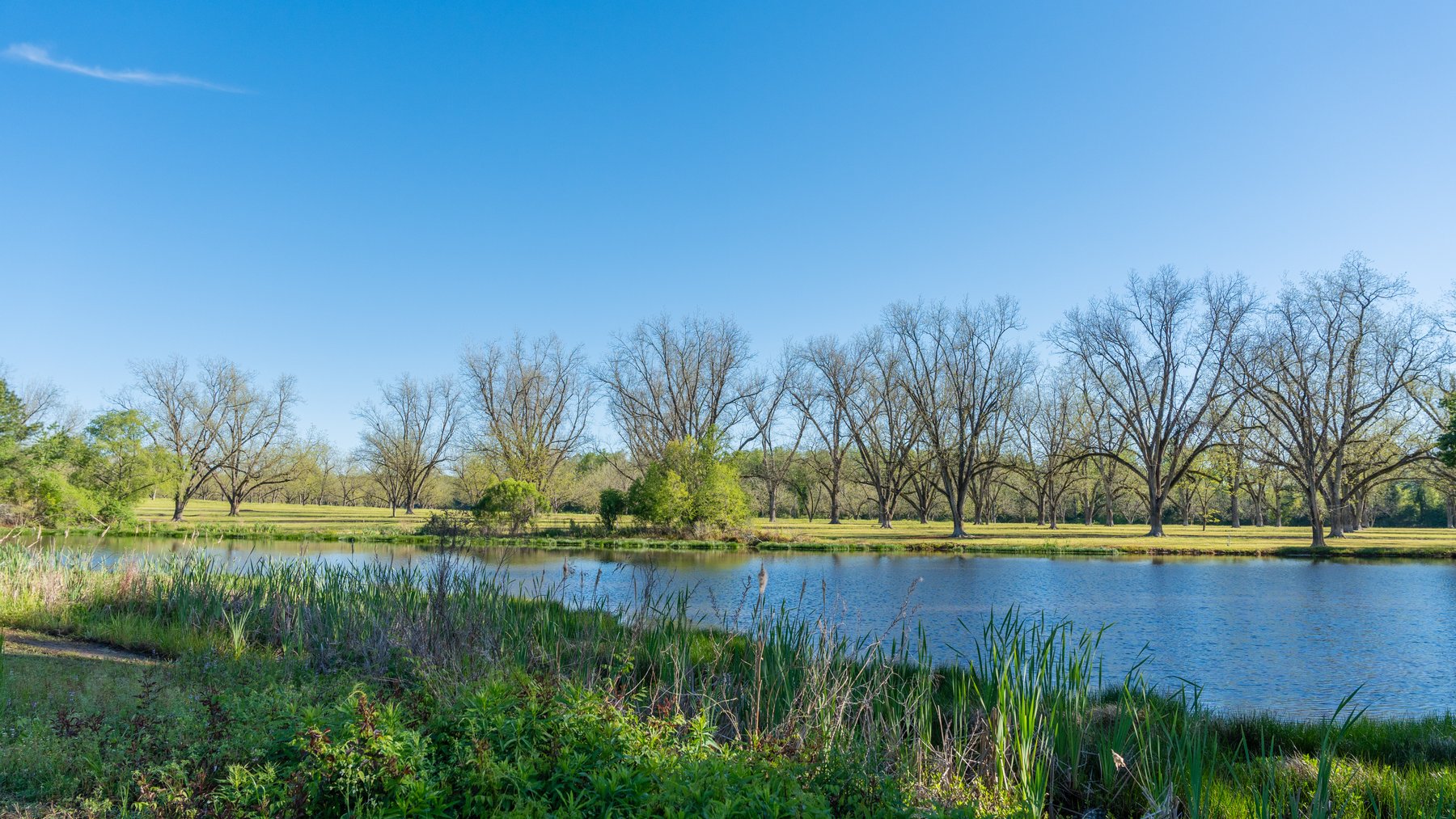 Image for 103+/- Acres - The Hand Tract - Weybrenee Farms