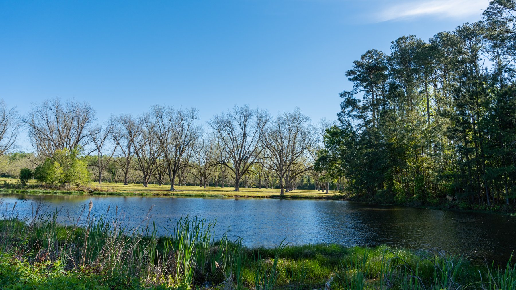 Image for 103+/- Acres - The Hand Tract - Weybrenee Farms