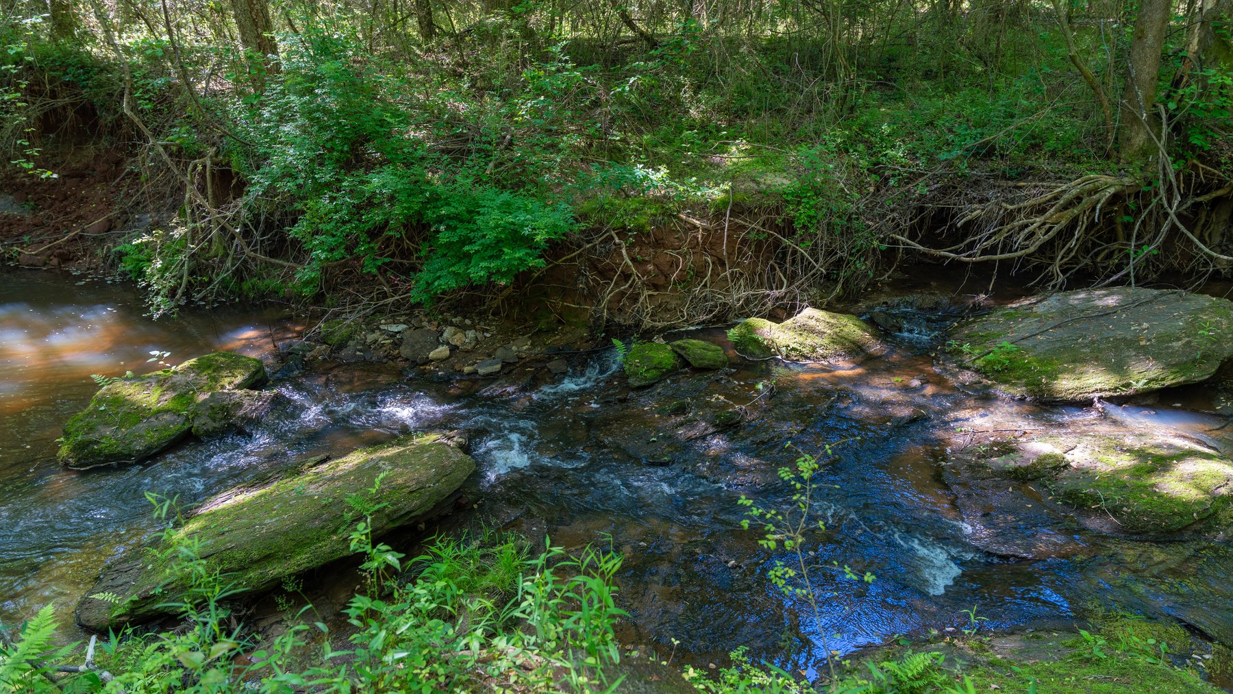 Image for Tobler Creek Place - 107.55 +/- Total Acres - Pristine Recreational Acreage w/ Homesite Potential