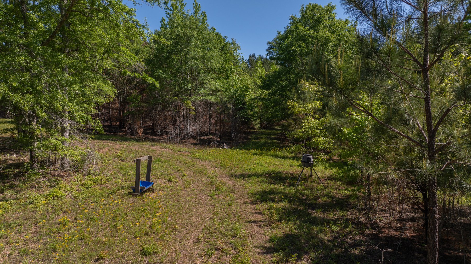 Image for Tobler Creek Place - 107.55 +/- Total Acres - Pristine Recreational Acreage w/ Homesite Potential