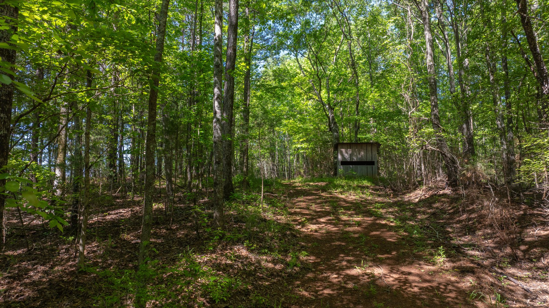 Image for Tobler Creek Place - 107.55 +/- Total Acres - Pristine Recreational Acreage w/ Homesite Potential