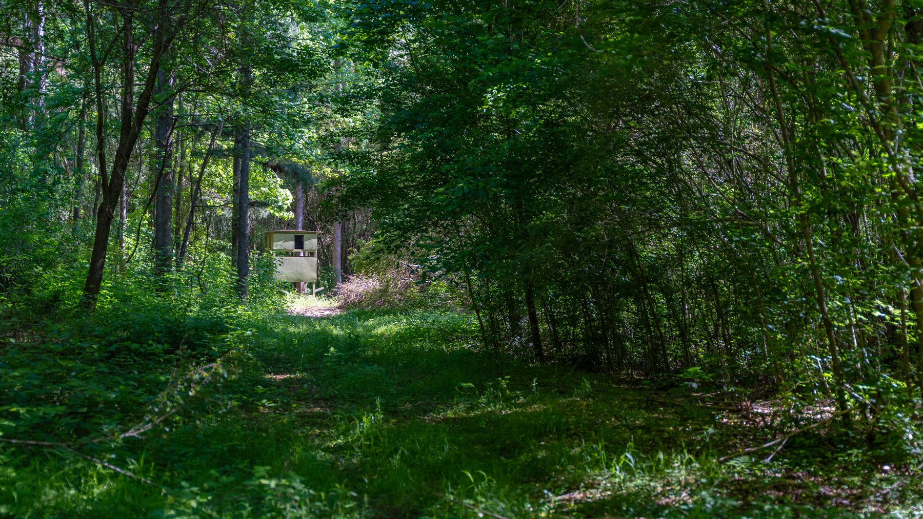 Image for Tobler Creek Place - 107.55 +/- Total Acres - Pristine Recreational Acreage w/ Homesite Potential