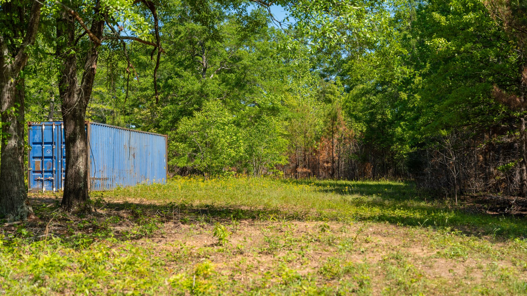 Image for Tobler Creek Place - 107.55 +/- Total Acres - Pristine Recreational Acreage w/ Homesite Potential