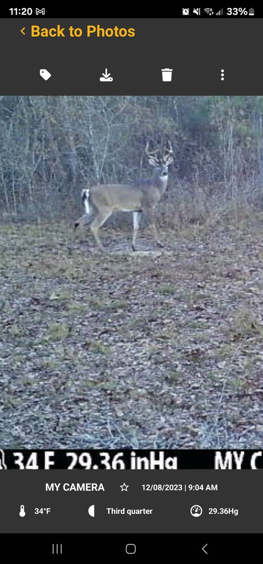 Image for Tobler Creek Place - 107.55 +/- Total Acres - Pristine Recreational Acreage w/ Homesite Potential