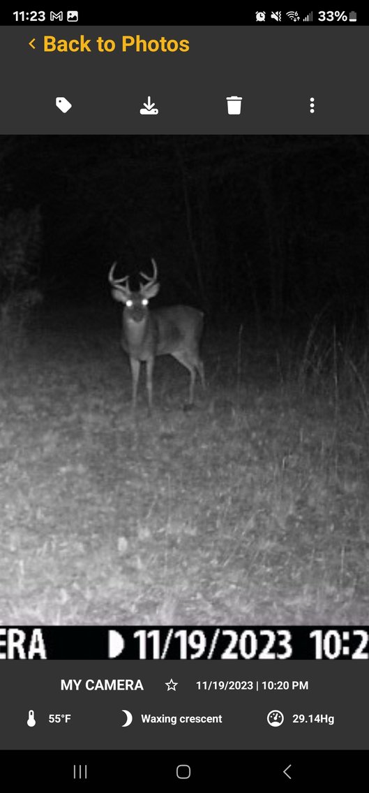 Image for Tobler Creek Place - 107.55 +/- Total Acres - Pristine Recreational Acreage w/ Homesite Potential