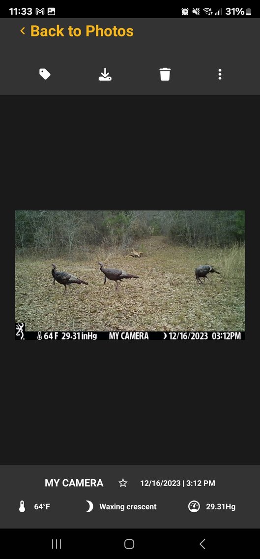 Image for Tobler Creek Place - 107.55 +/- Total Acres - Pristine Recreational Acreage w/ Homesite Potential