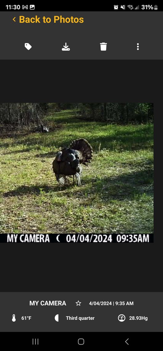 Image for Tobler Creek Place - 107.55 +/- Total Acres - Pristine Recreational Acreage w/ Homesite Potential