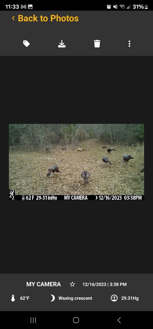 Image for Tobler Creek Place - 107.55 +/- Total Acres - Pristine Recreational Acreage w/ Homesite Potential