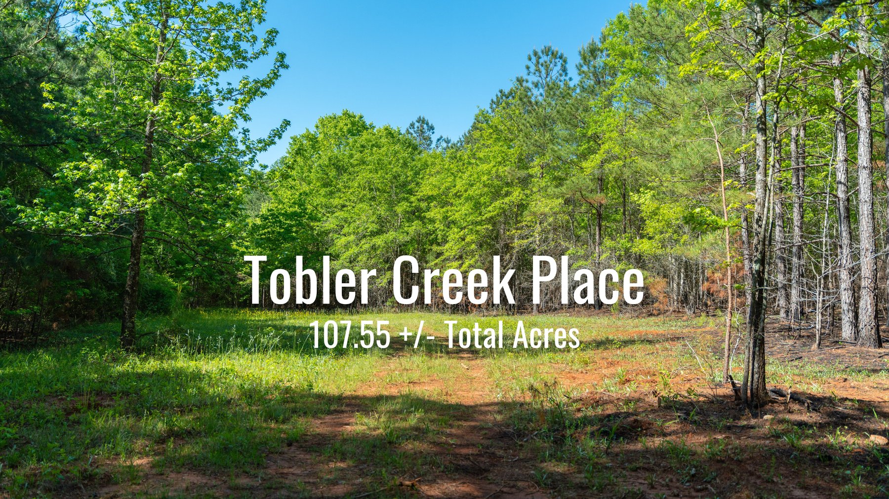 Image for Tobler Creek Place - 107.55 +/- Total Acres - Pristine Recreational Acreage w/ Homesite Potential