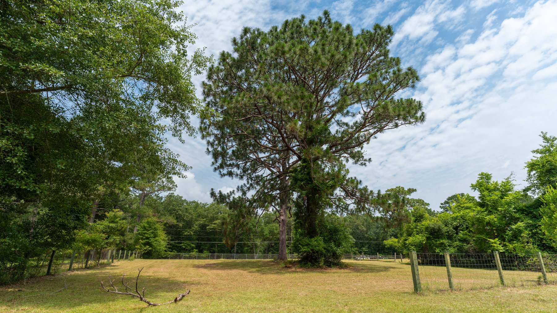 Image for Secluded 5+/- Acre Hobby Farm in Lee County