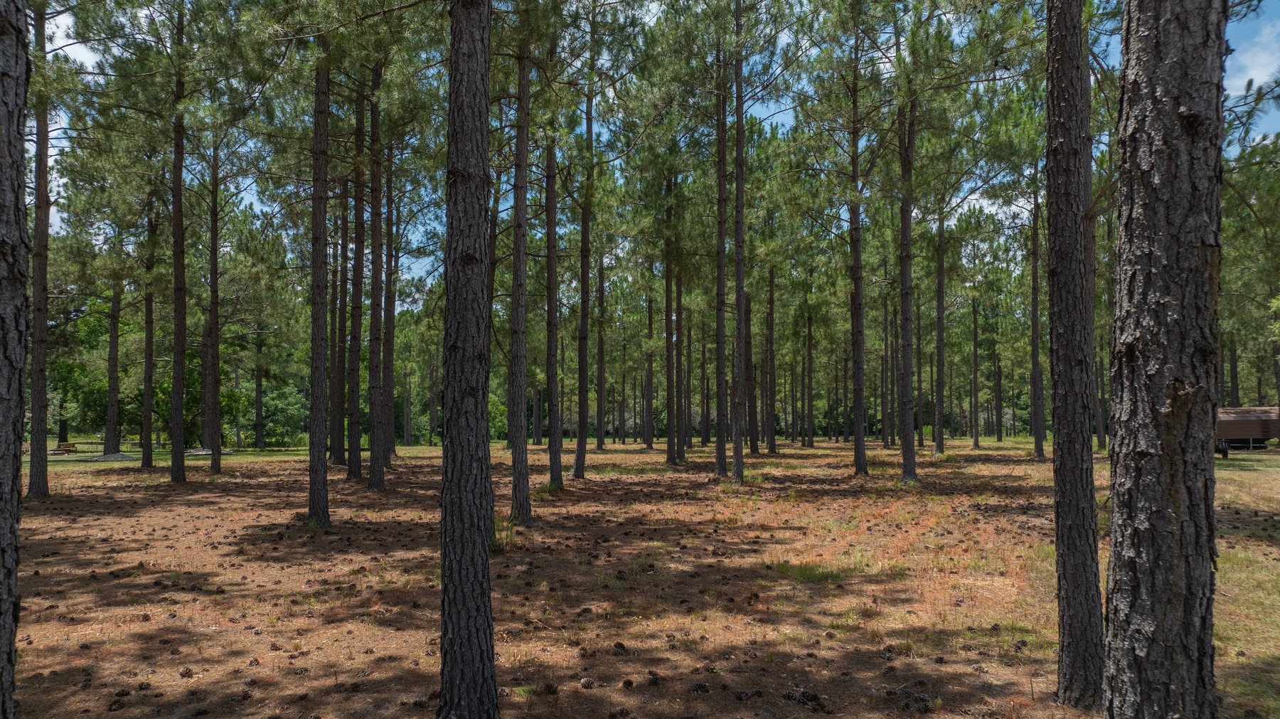 Image for Beautiful 2.34+/- Acre Homesite in Tift County
