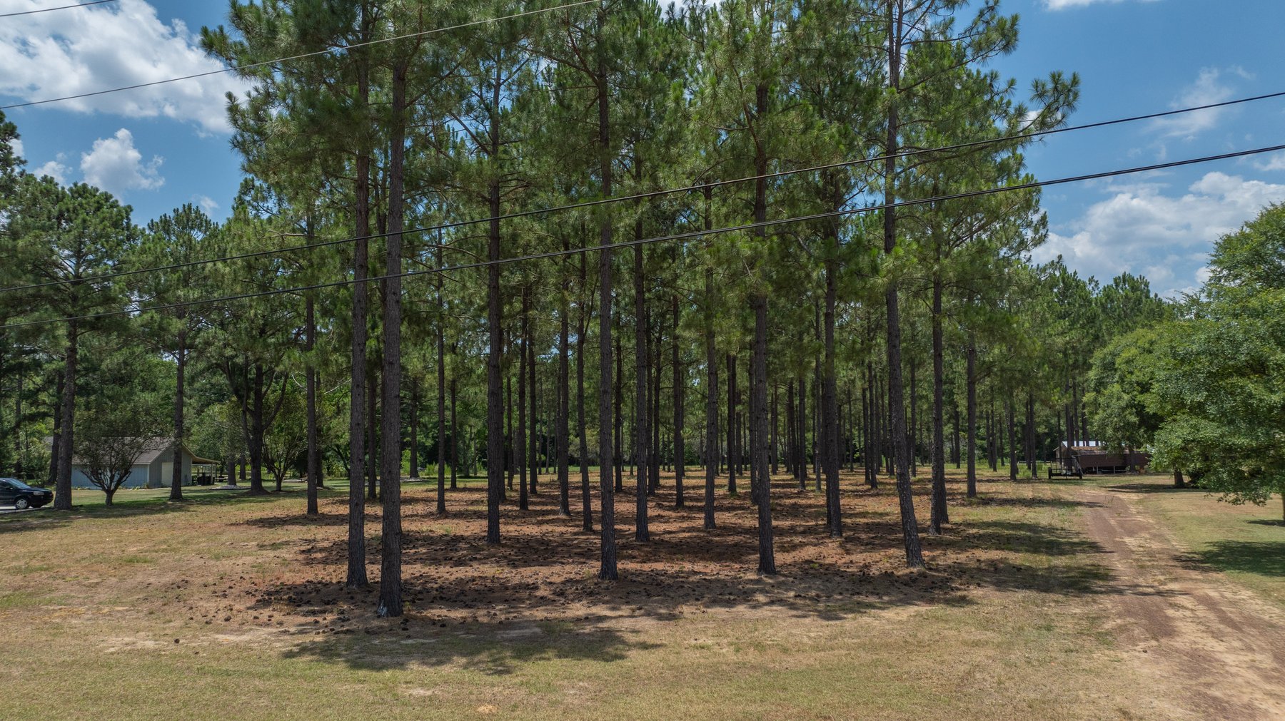Image for Beautiful 2.34+/- Acre Homesite in Tift County