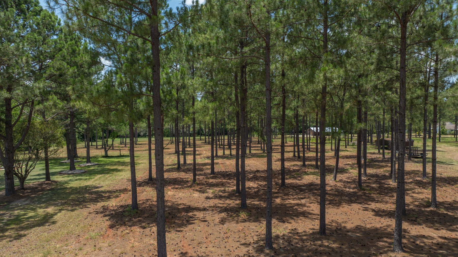 Image for Beautiful 2.34+/- Acre Homesite in Tift County