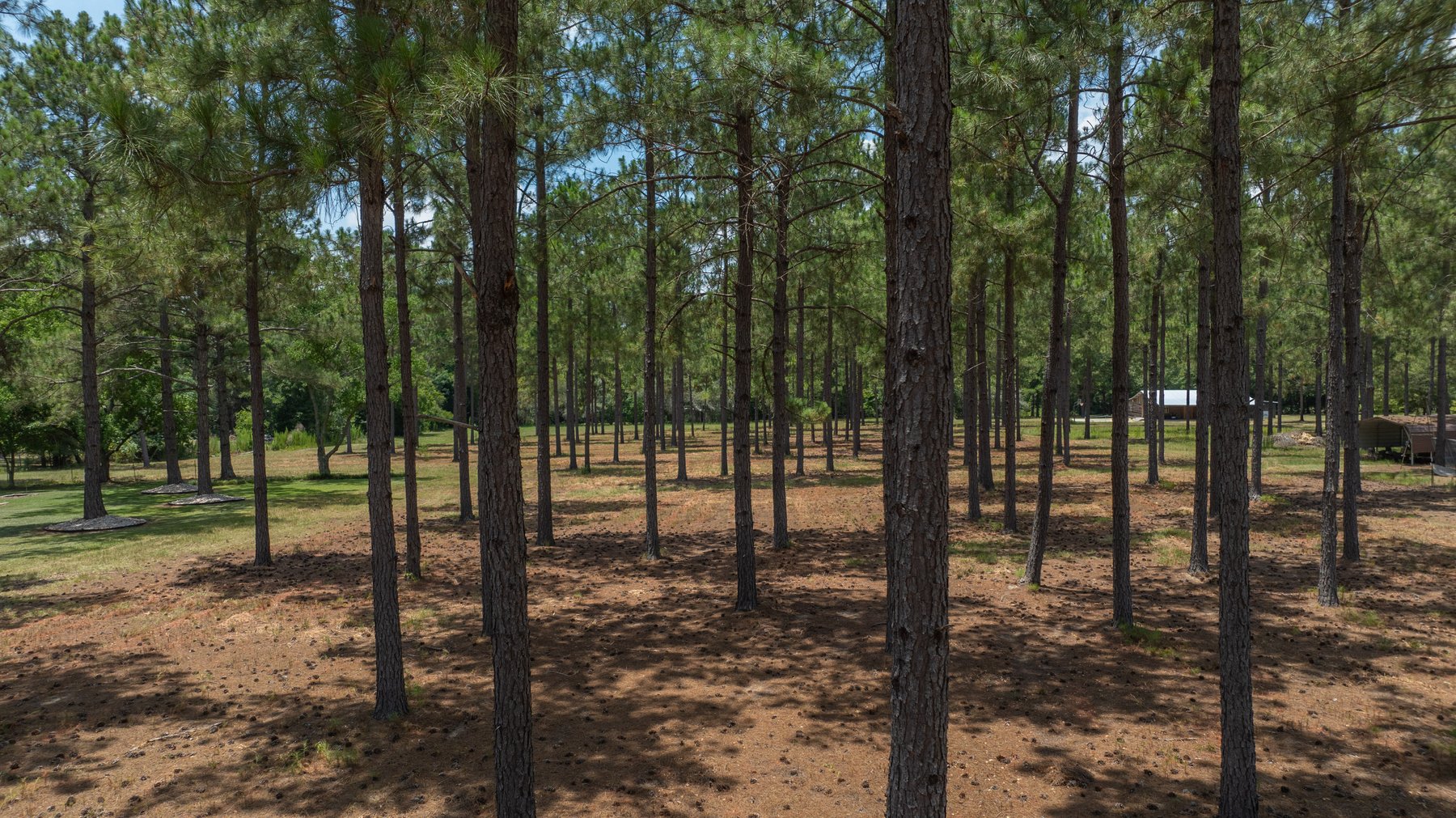 Image for Beautiful 2.34+/- Acre Homesite in Tift County
