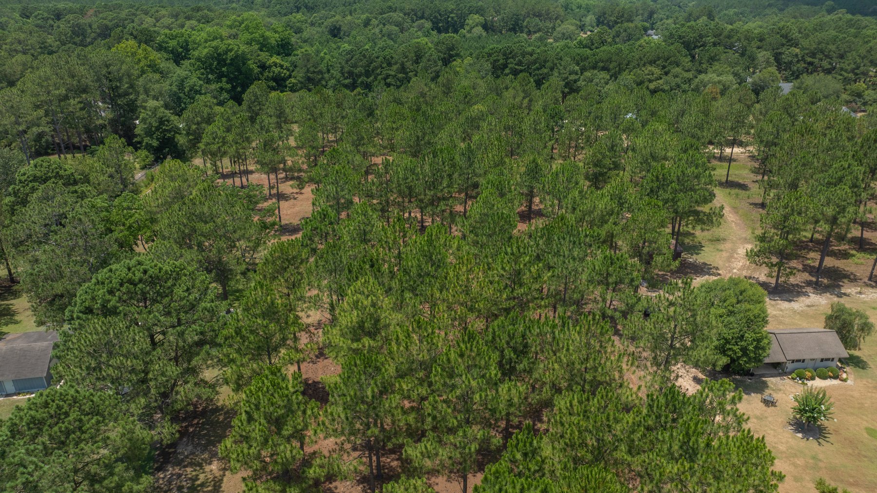 Image for Beautiful 2.34+/- Acre Homesite in Tift County